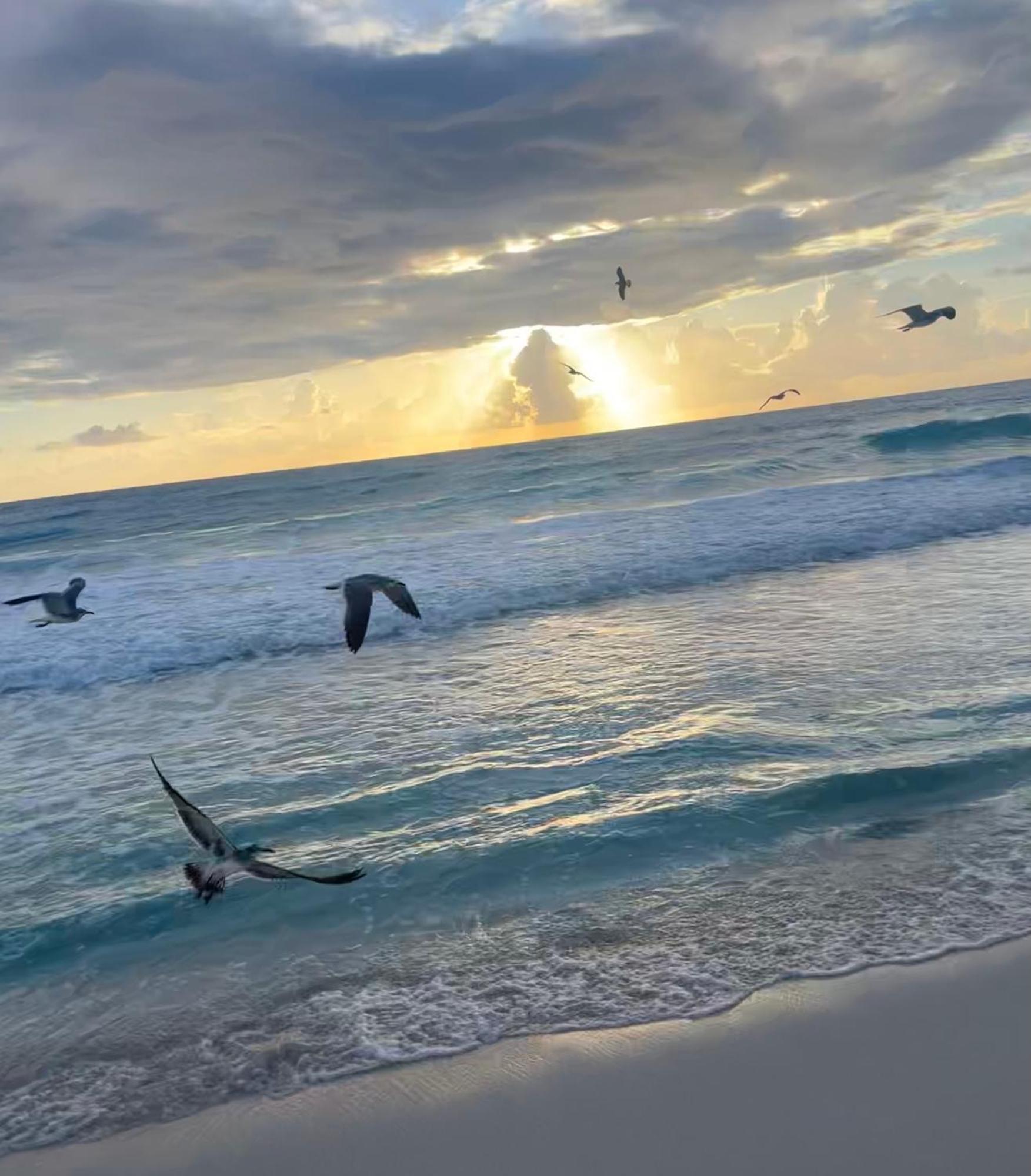 Suite Brisas Cancun Dış mekan fotoğraf