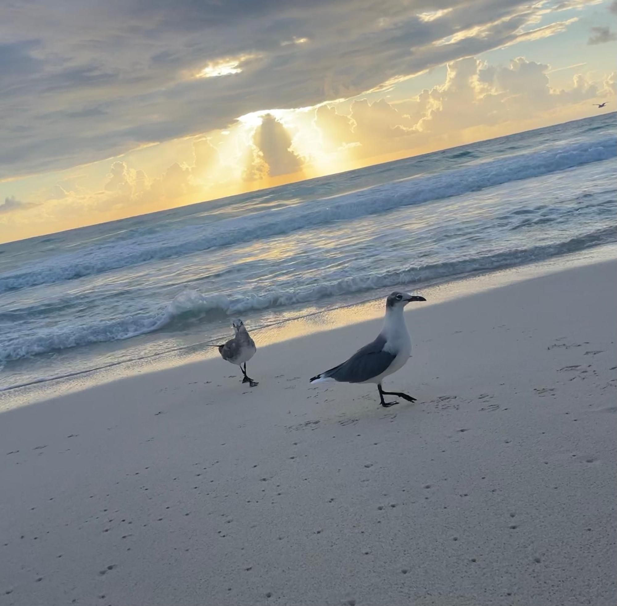 Suite Brisas Cancun Dış mekan fotoğraf